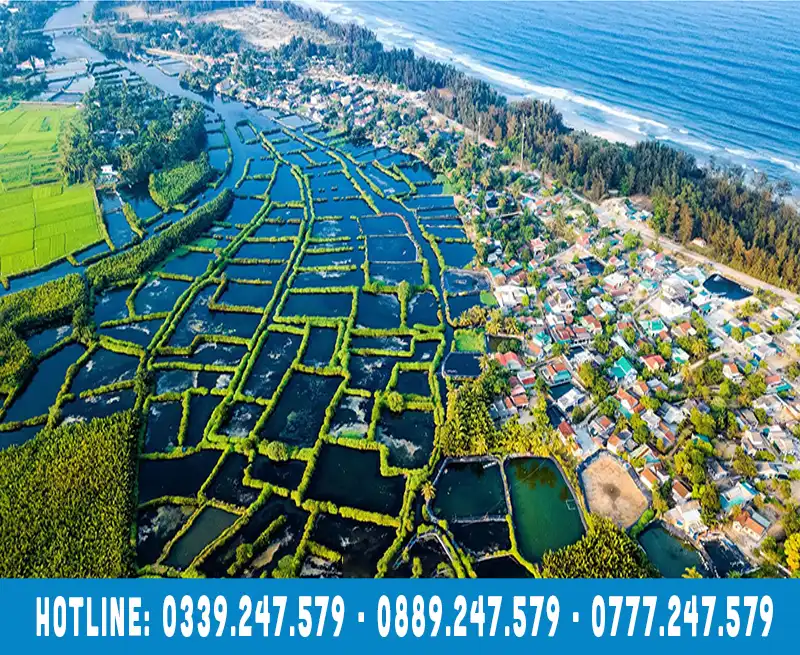 canh-dep-quang-ngai-nhin-tu-tren-cao-Co-Luy-Co-Thon-Quang-Ngai cổ lũy cô thôn quảng ngãi