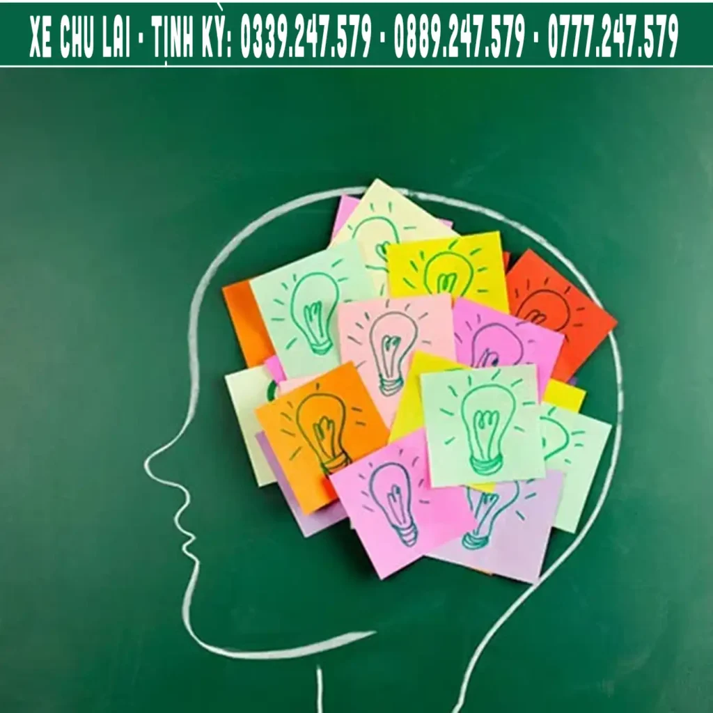 lua-chon-xe-tren-chang-chu-lai-tinh-ky các phương tiện di chuyển trên chặng chai lai - tịnh kỳ