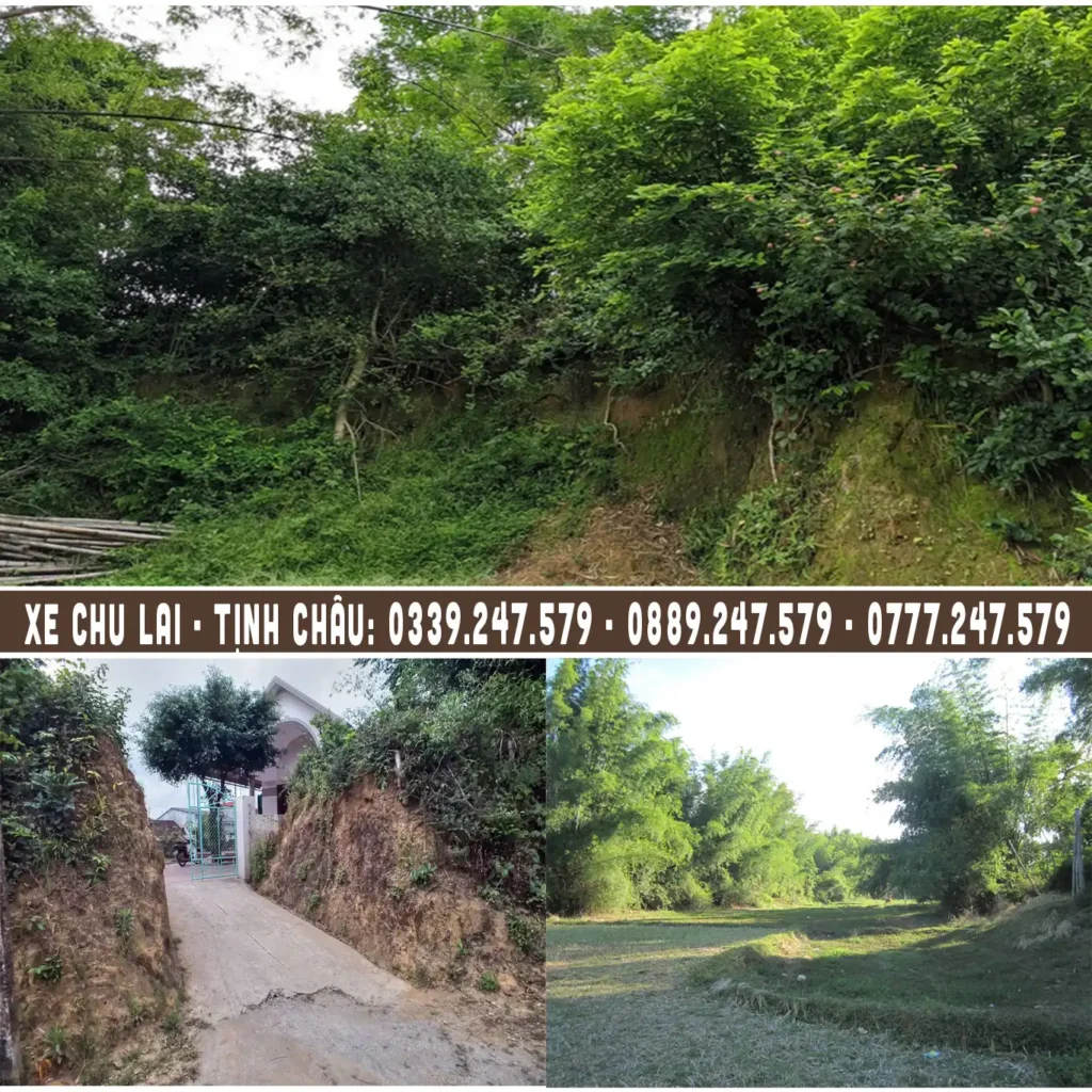 thanh-co-chau-sa-thuc-te di tích thành cổ châu sa bị xâm lấn