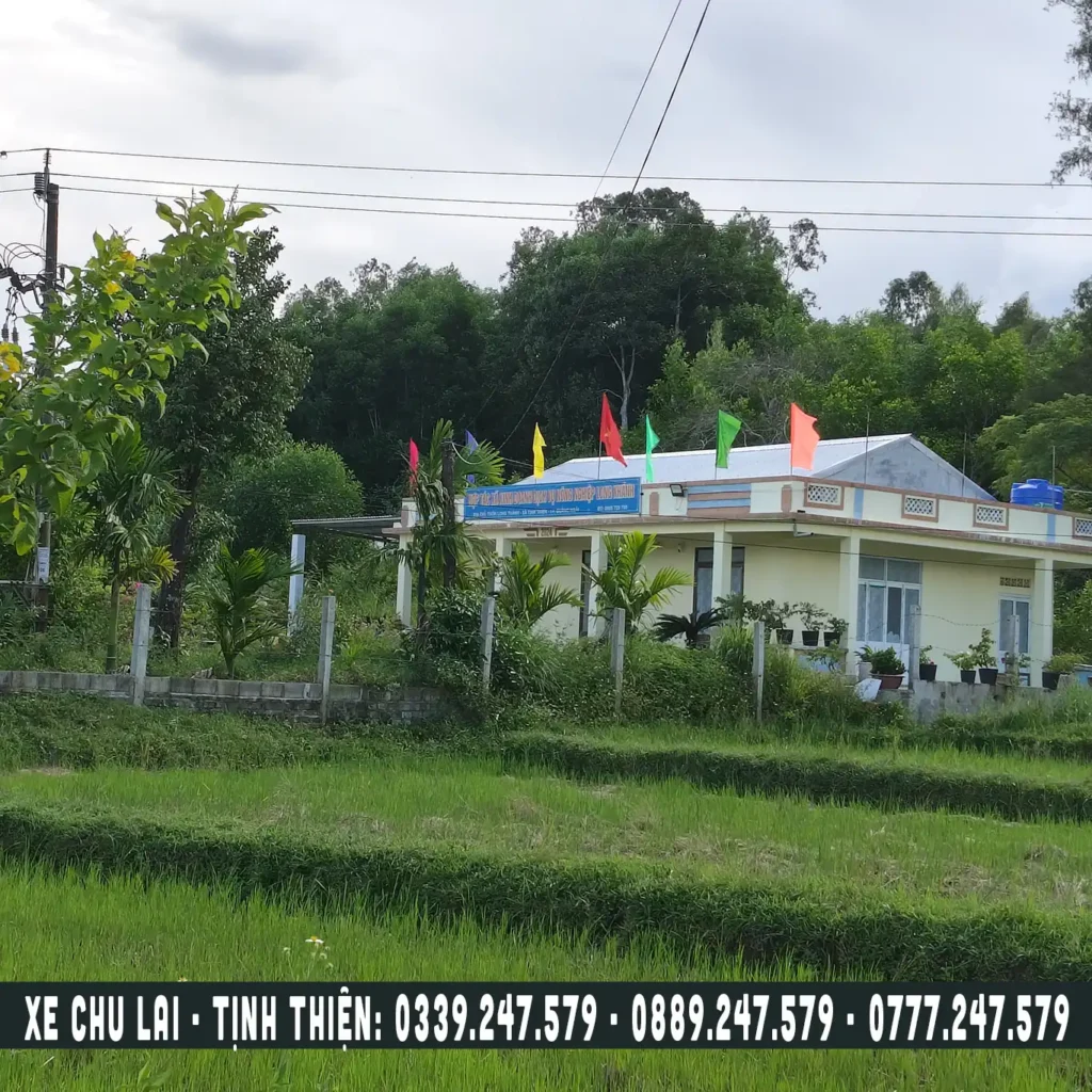 hop-tac-xa-nong-nghiep-tinh-thien-quang-ngai htx nông nghiệp tại xã tịnh thiện