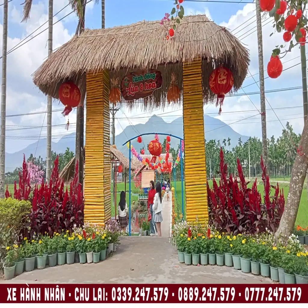 cánh đồng lúa và hoa hành nhân nghĩa hành