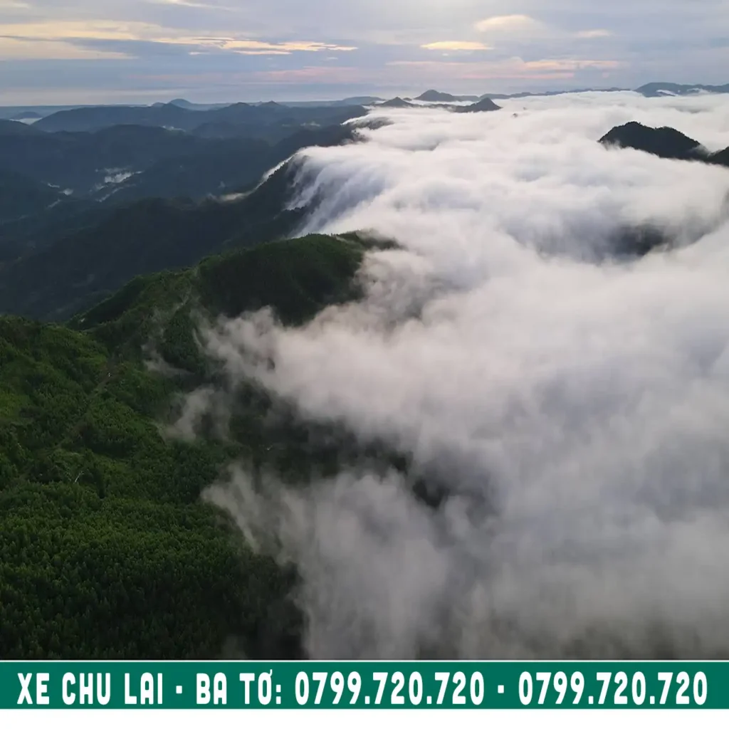 săn mây ở ba tơ