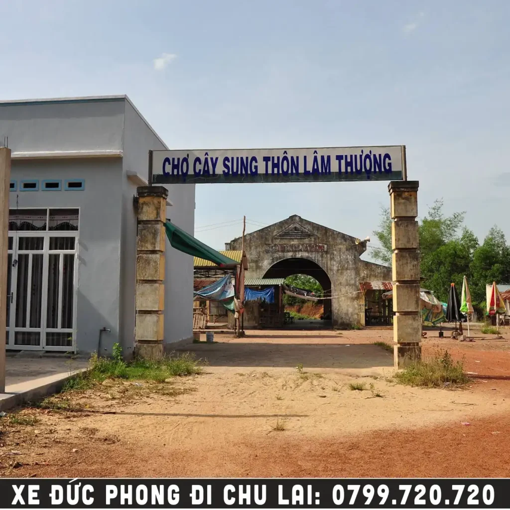 choự cây sung thôn lâm thượng đức phong mộ đức quảng ngãi