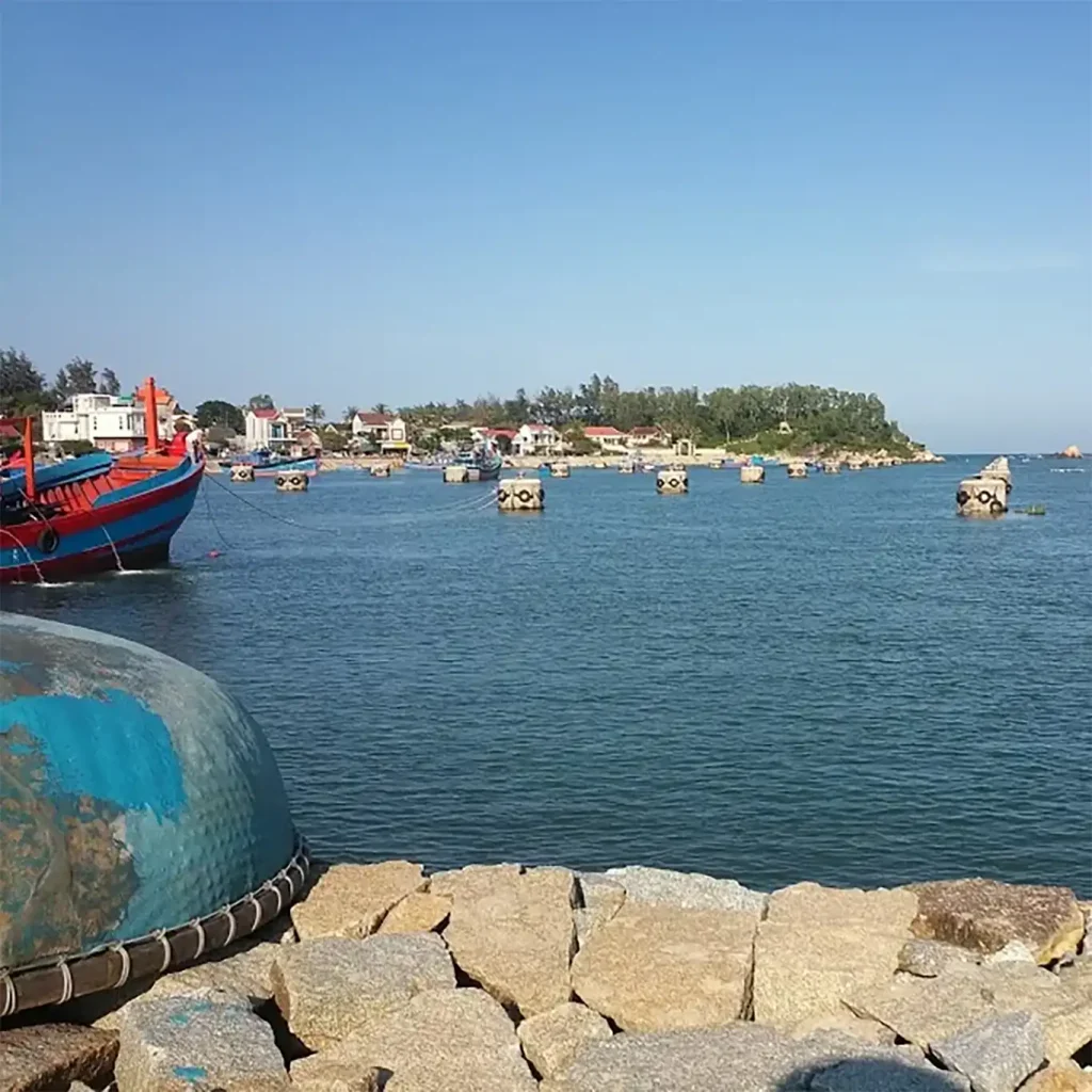 cảng cá mỹ á đi chu lai